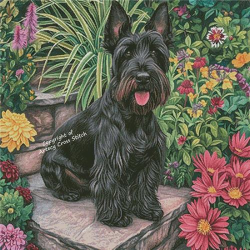 Scottish Terrier In A Garden - Artecy Cross Stitch