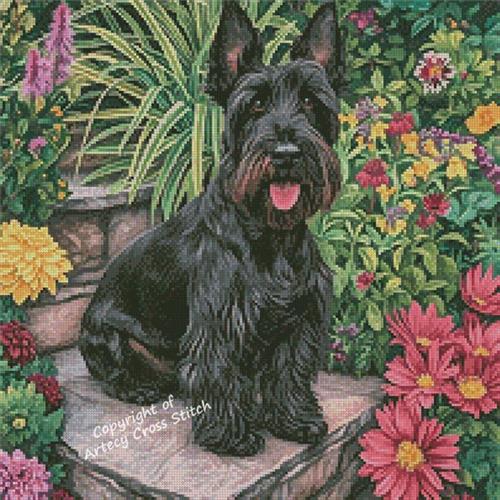Mini Scottish Terrier In A Garden - Artecy Cross Stitch