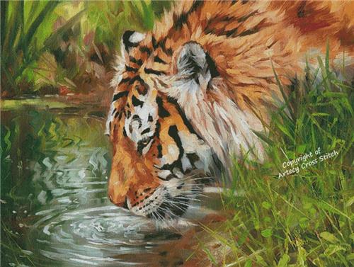 Tiger Quenching Thirst (Large) - Artecy Cross Stitch