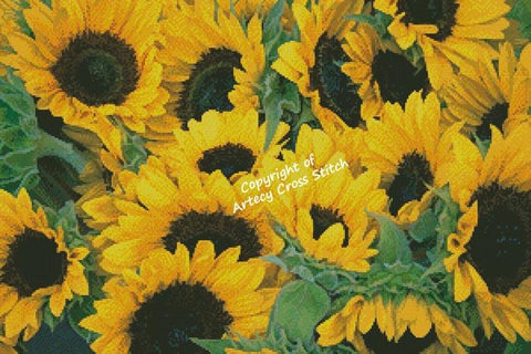 Sunflowers Photo - Artecy Cross Stitch
