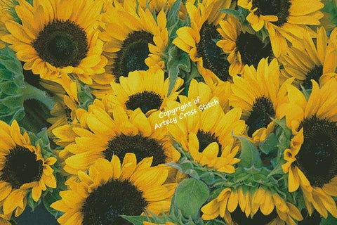 Sunflowers Photo (Large) - Artecy Cross Stitch