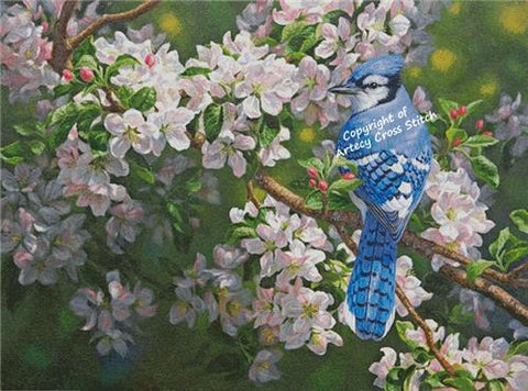 Blue Jay In Apple Blossoms (Large) - Artecy Cross Stitch