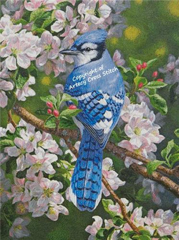 Blue Jay In Apple Blossoms (Large Crop) - Artecy Cross Stitch