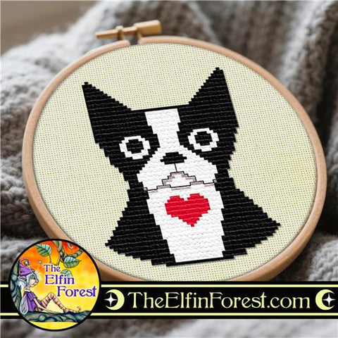 Boston Sweetheart - The Elfin Forest