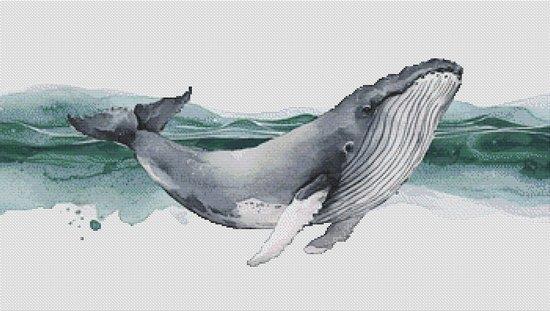 Humpback Whale - White Willow Stitching