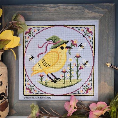 Fledgling's First Pick - Haunted Frames
