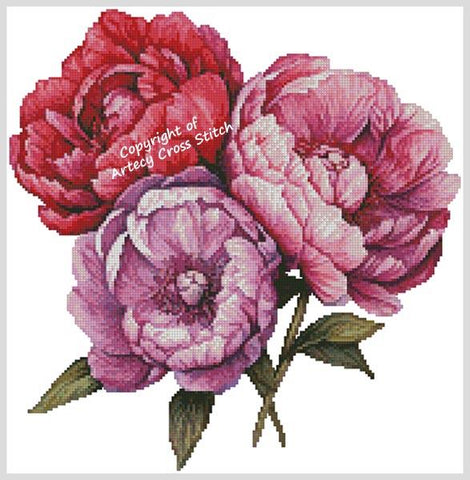 Peonies - Artecy Cross Stitch