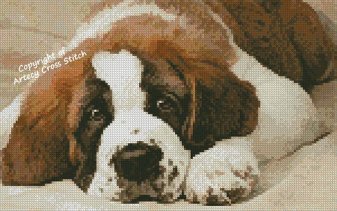 Mini St Bernard Photo - Artecy Cross Stitch