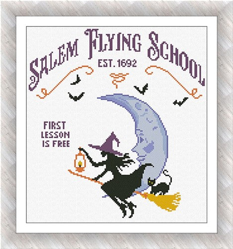 Salem Flying School - Alessandra Adelaide Needleworks