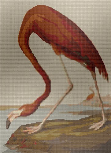 American Flamingo - Art of Stitch, The