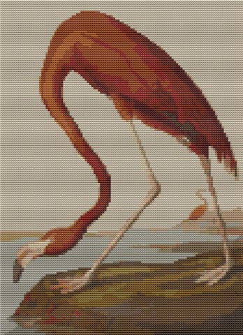 American Flamingo - Art of Stitch, The