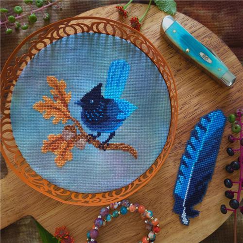 Steller's Jay - BAD Stitch