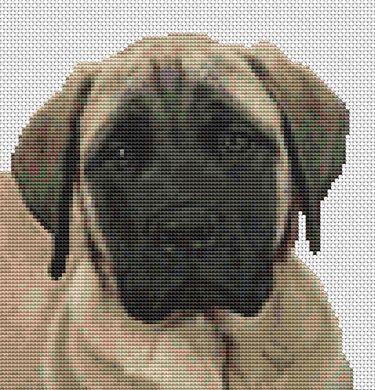 Mastiff Face - White Willow Stitching
