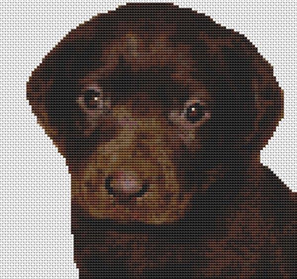 Chocolate Labrador Retriever Puppy - White Willow Stitching