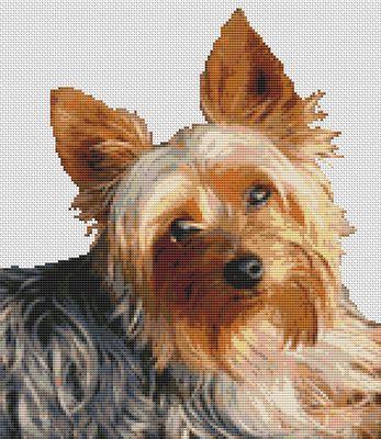 Winston II: Yorkie - White Willow Stitching