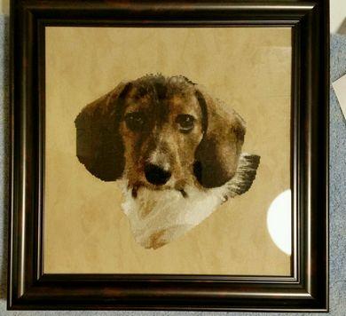 Willy The Wirehaired Dachshund - White Willow Stitching