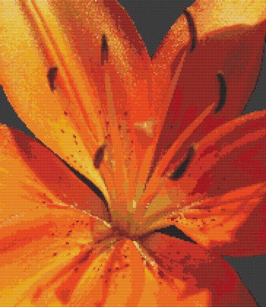 Tiger Lily Glory - White Willow Stitching