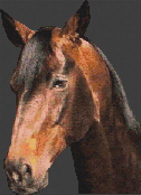 Warmblood Stallion - White Willow Stitching