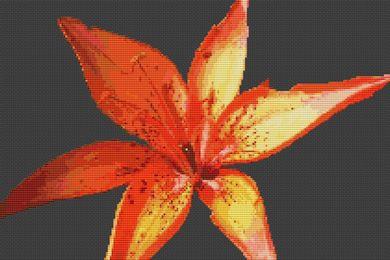 Tiger Lily - White Willow Stitching