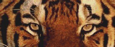 Tiger Eyes - White Willow Stitching
