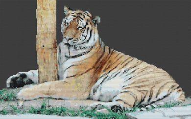 Shhh! Sleeping Tiger - White Willow Stitching