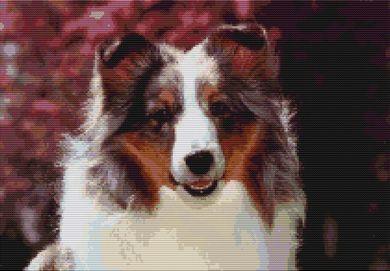 Sheltie: Sky - White Willow Stitching