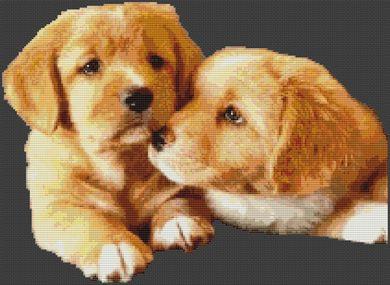 Puppy Love - White Willow Stitching