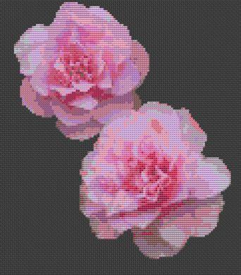 Pink Camellia - White Willow Stitching