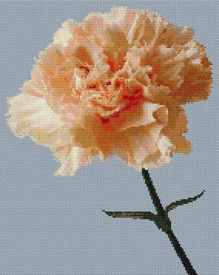 Peach Carnation - White Willow Stitching