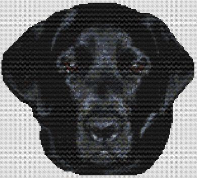 Onyx: Black Lab - White Willow Stitching