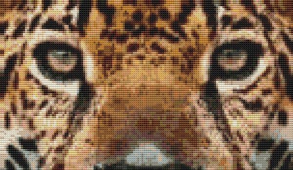Jaguar Eyes - White Willow Stitching