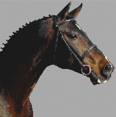 Galapard: Swedish Warmblood - White Willow Stitching
