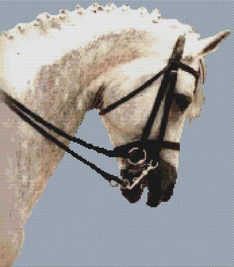 Dressage Horse - White Willow Stitching