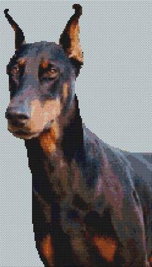 Doberman: Jetta - White Willow Stitching