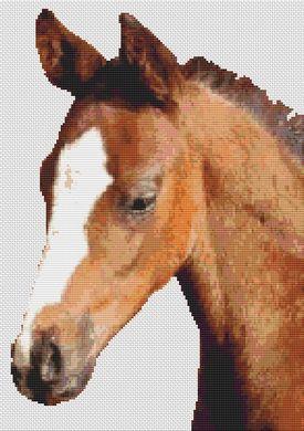 My Precious - White Willow Stitching