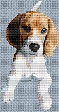 Young Beagle - White Willow Stitching