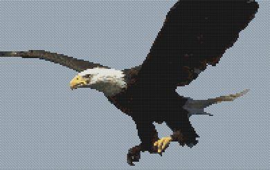 Bald Eagle 2 - White Willow Stitching