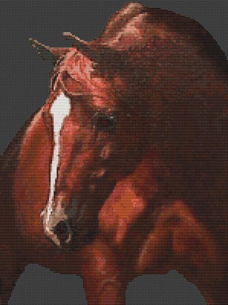 Arab Portrait - White Willow Stitching