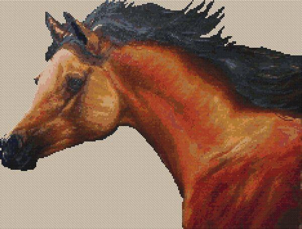 Bay Colt - White Willow Stitching