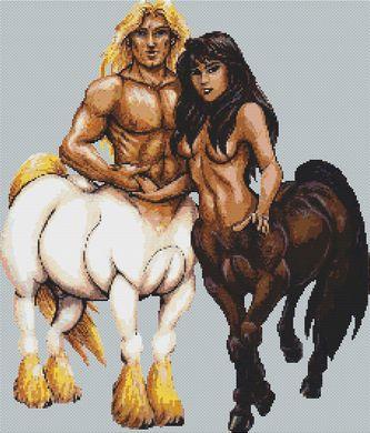 Centaur Love - White Willow Stitching