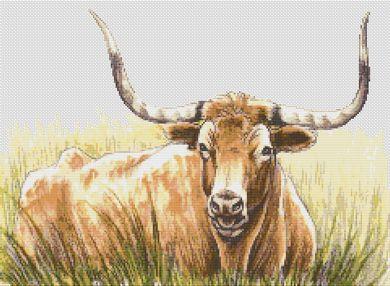 Texas Longhorn - White Willow Stitching