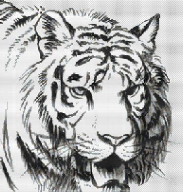 Pant - White Willow Stitching