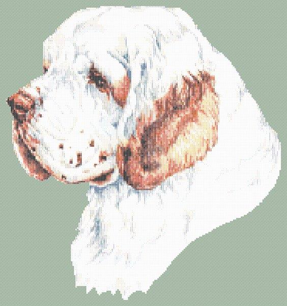 Clumber Spaniel - White Willow Stitching