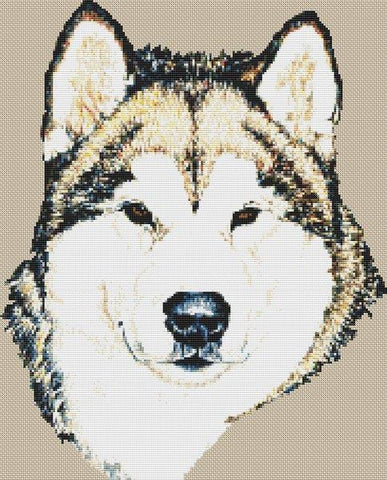 Alaskan Malamute - White Willow Stitching