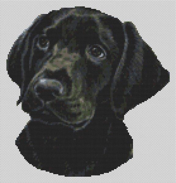 The Thinker - White Willow Stitching