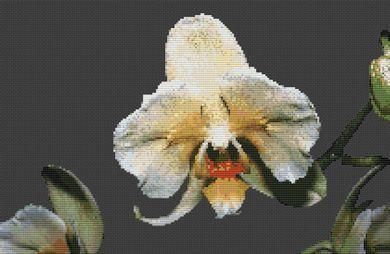 Orchid - White Willow Stitching