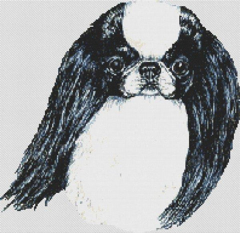 Japanese Chin: Black And White - White Willow Stitching