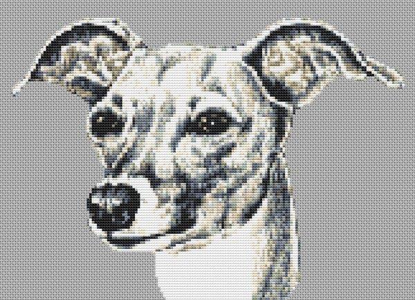 Italian Greyhound - White Willow Stitching