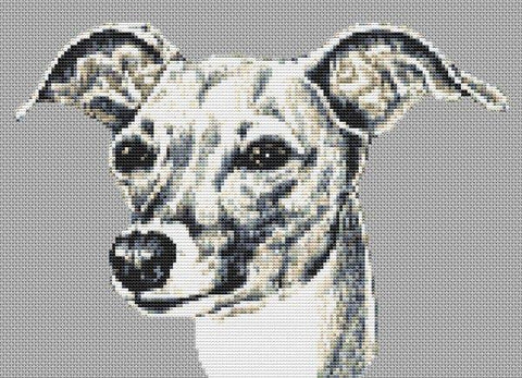 Italian Greyhound - White Willow Stitching