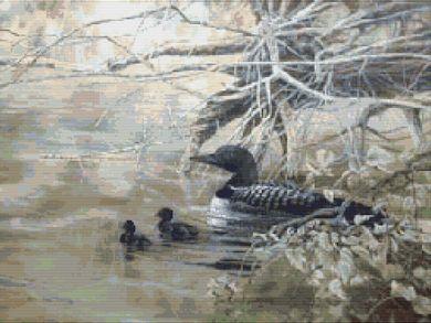 Loons - White Willow Stitching